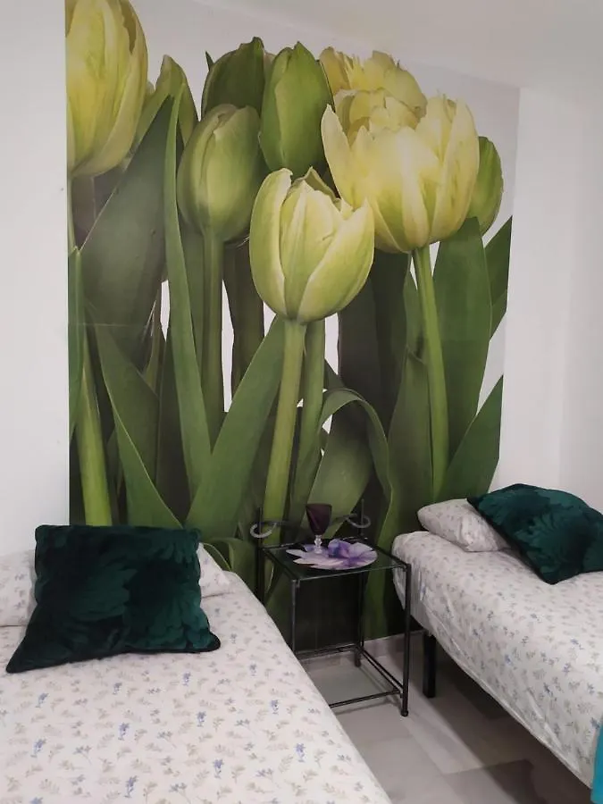 Málaga Centro Hostel Spanyolország